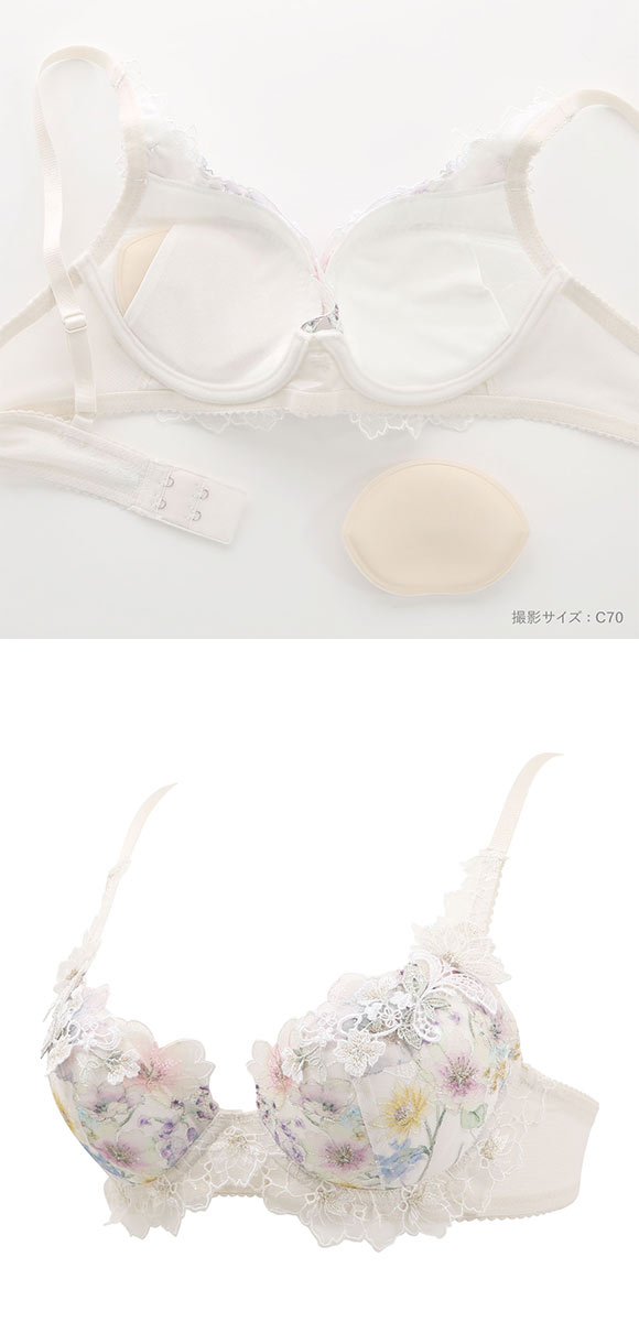 ワコール パーソナルフィットプラスブラ プレミアム 17series BXD417 17G 3/4カップブラジャー BC Wacoal