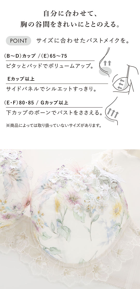 ワコール パーソナルフィットプラスブラ プレミアム 17series BXD417