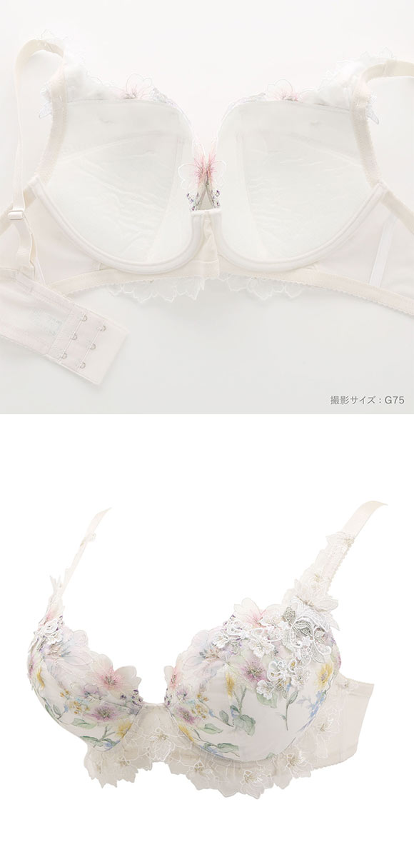 ワコール パーソナルフィットプラスブラ プレミアム 17series