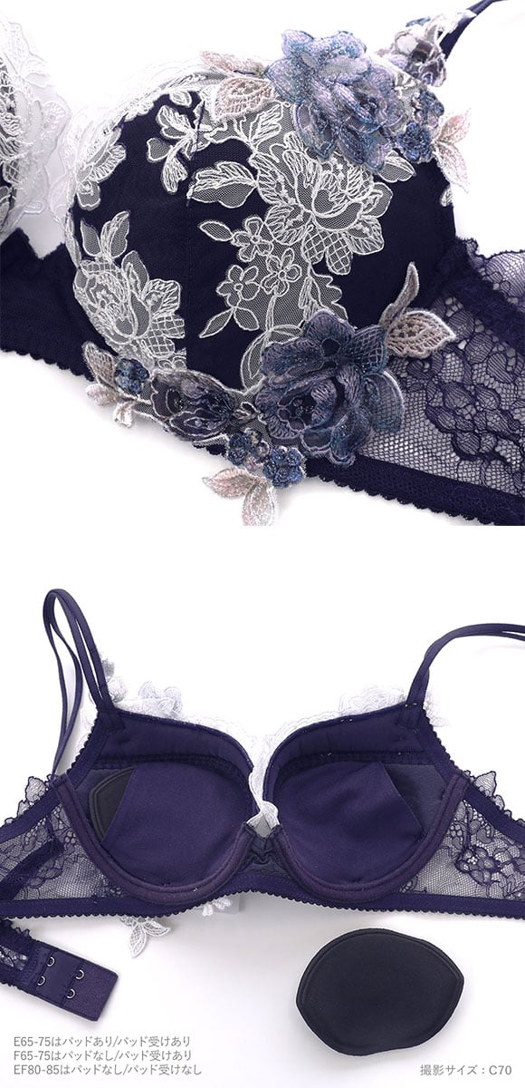 ワコール パーソナルフィットプラスブラ プレミアム 22series BXD422 22G 3/4カップブラジャー DEF Wacoal 大きいサイズ