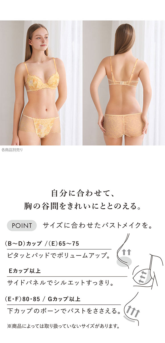 ワコール パーソナルフィットプラスブラ プレミアム 25series BXD425 25G ブラジャー BC Wacoal