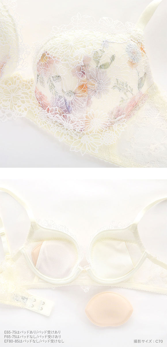 ワコール パーソナルフィットプラスブラ プレミアム 25series BXD425 25G ブラジャー DEF Wacoal 大きいサイズ