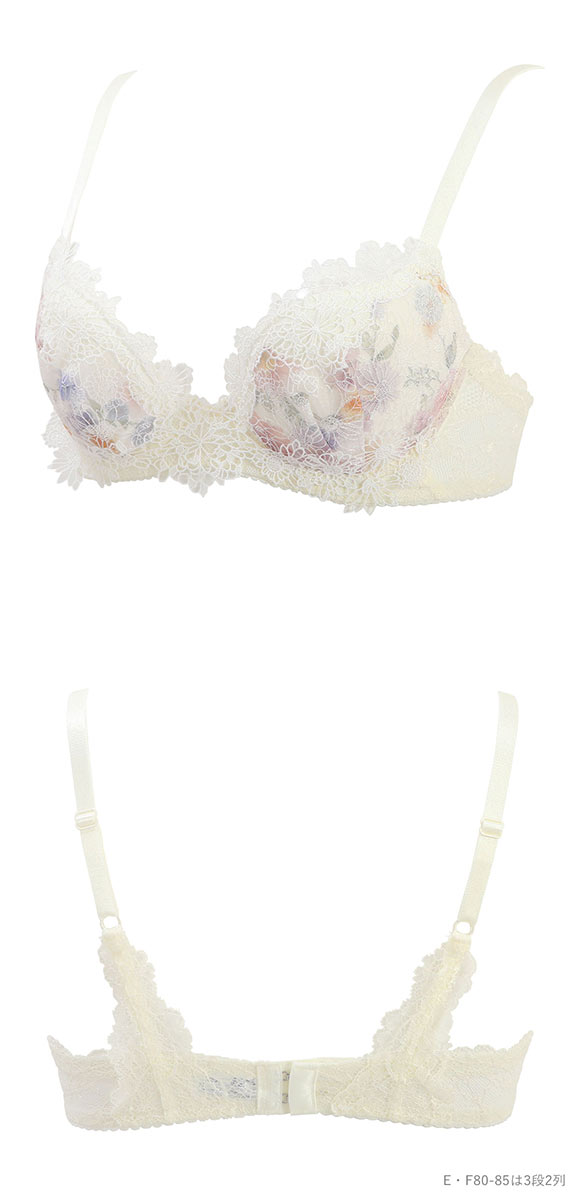 ワコール パーソナルフィットプラスブラ プレミアム 25series BXD425 25G ブラジャー DEF Wacoal 大きいサイズ