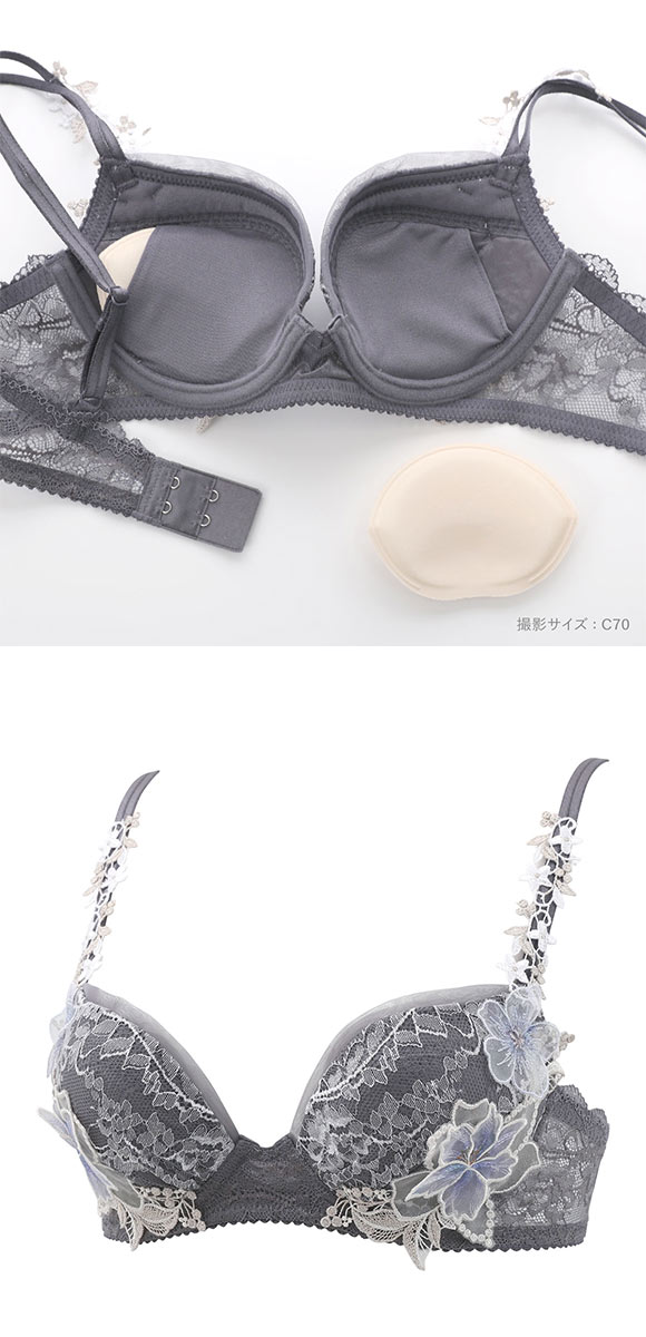 ワコール パーソナルフィットプラスブラ プレミアム 26series BXD426 26G ブラジャー BC Wacoal