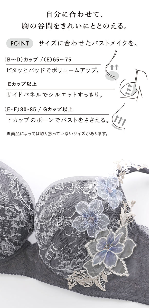 ワコール パーソナルフィットプラスブラ プレミアム 26series BXD426
