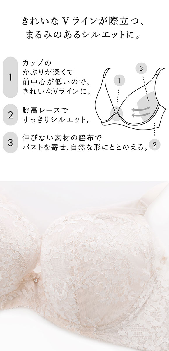 ワコール プッシュアップブラ プランジングタイプ プレミアム 13series BXD713 13G ブラジャー G Wacoal 大きいサイズ