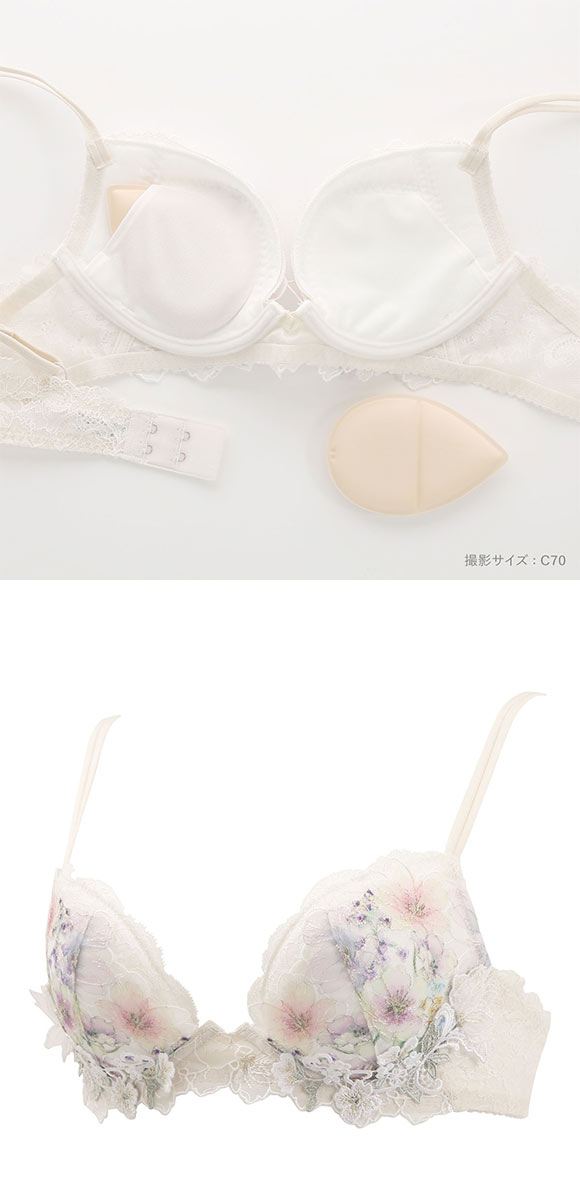 ワコール フロントエックスプラスブラ プレミアム 17series BXD717 17G 3/4カップブラジャー DEF Wacoal