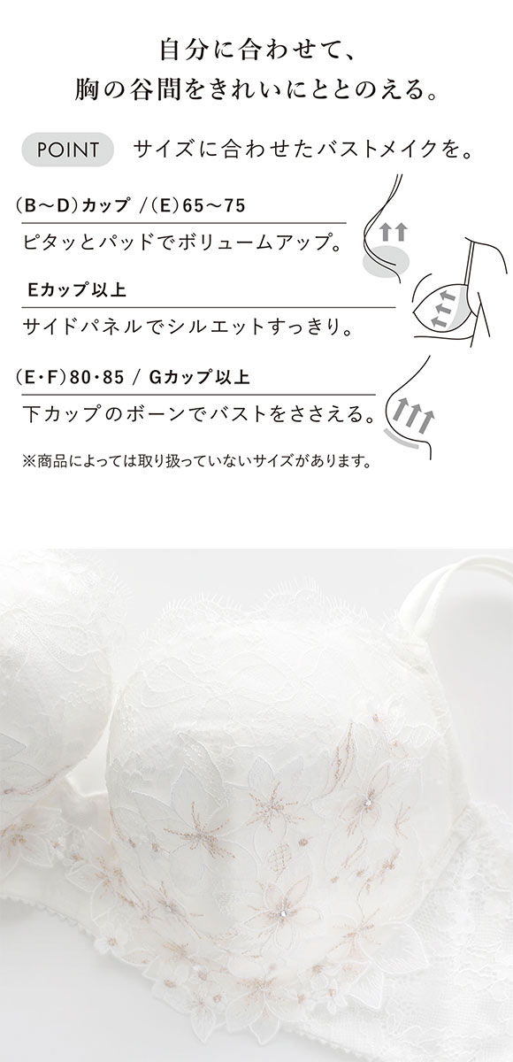 ワコール パーソナルフィットプラスブラ プレミアム 27series BXD427 27G ブラジャー G グラマー 大きいサイズ Wacoal
