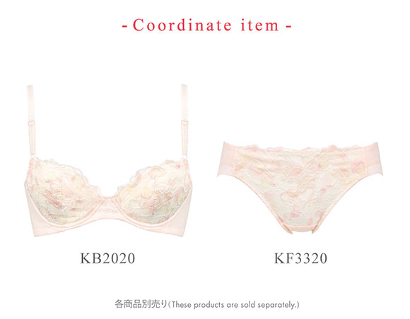 ワコール Wacoal ウイング Wing KB2020 NATURAL FIT BRA ブラジャー E 単品 ナチュラルフィットブラ