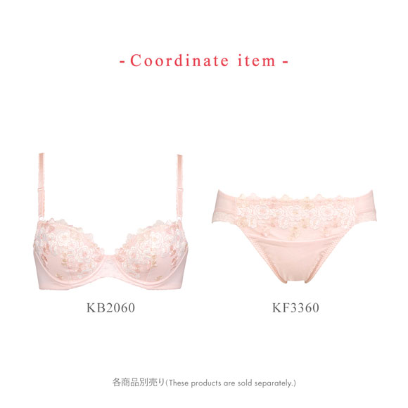 ワコール Wacoal ウイング Wing KB2060 ナチュラルアップブラ ブラジャー AB 単品