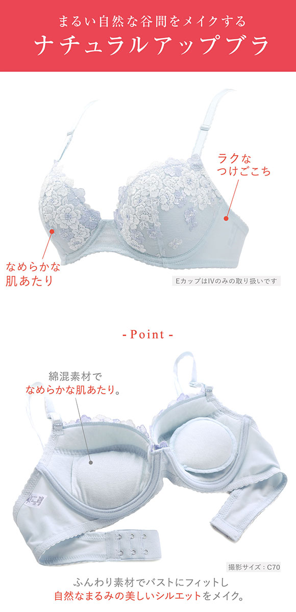 ワコール Wacoal ウイング Wing KB2060 ナチュラルアップブラ ブラジャー E F 大きいサイズ