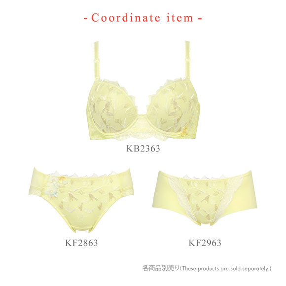 ワコール Wacoal ウイング Wing 23SS KB2363 スキマフィットブラ