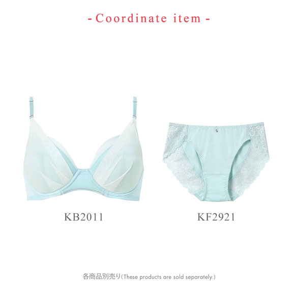 ワコール Wacoal ウイング Wing KB2011 マッチミーブラ シンプルタイプ ショーツ LL スタンダード 単品 ハイレッグ