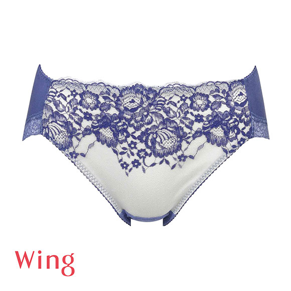 ワコール Wacoal ウイング Wing ナチュラルアップ ショーツ スタンダード ペア KB2062 ML2L 大きいサイズ