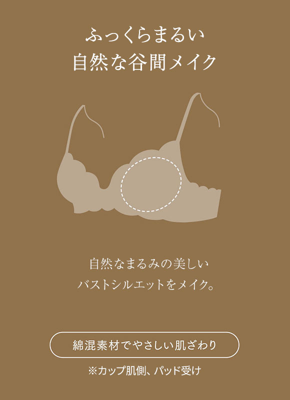 ウイング レシアージュ 2120シリーズ ブラジャー BC ふっくらまるい自然な谷間 Wing Lesiage PB2120 25SS