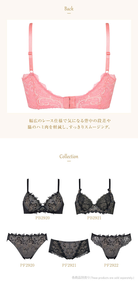 ウイング Wing レシアージュ Lesiage 24SS 2920シリーズ ブラジャー 脇すっきり 着やせフィット C 単品