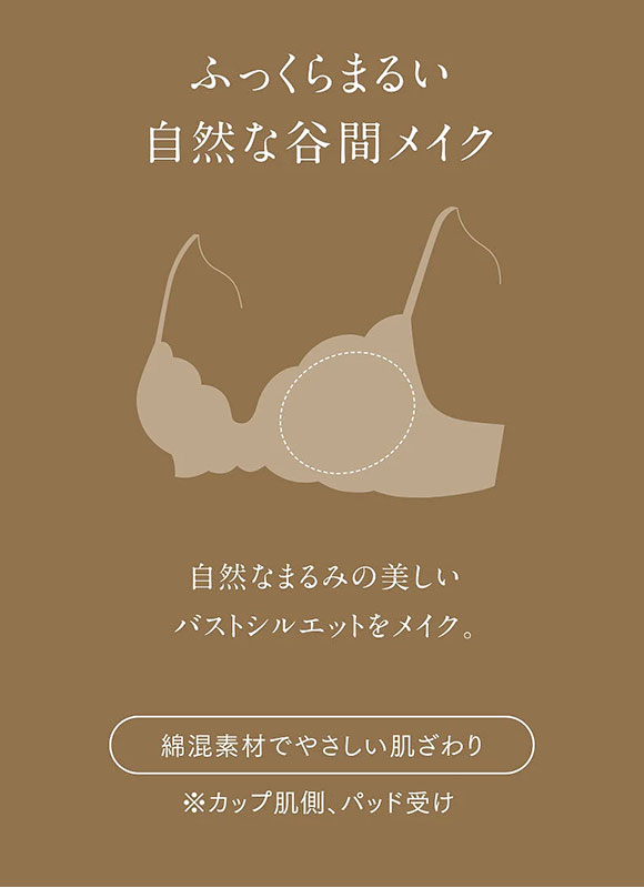 ウイング Wing レシアージュ Lesiage 24AW 2960シリーズ ブラジャー BC ふっくらまるい自然な谷間をメイク PB2960 単品