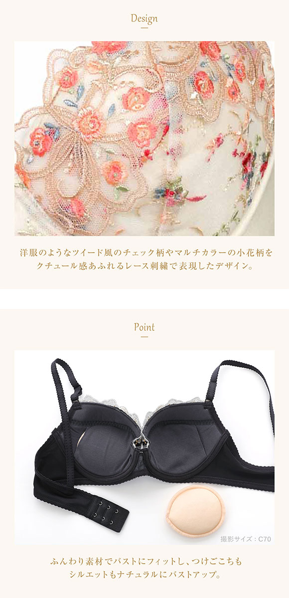 ウイング Wing レシアージュ Lesiage 24AW 2960シリーズ ブラジャー
