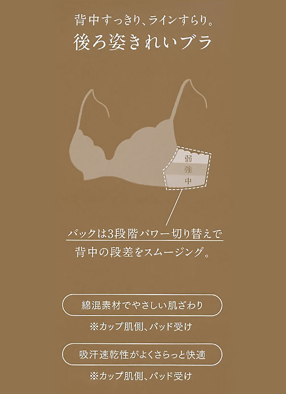 ウイング レシアージュ 4010シリーズ 後ろ姿きれいブラ ブラジャー BC 脇すっきり 胸ふっくら 脇高 Wing Lesiage PB4010