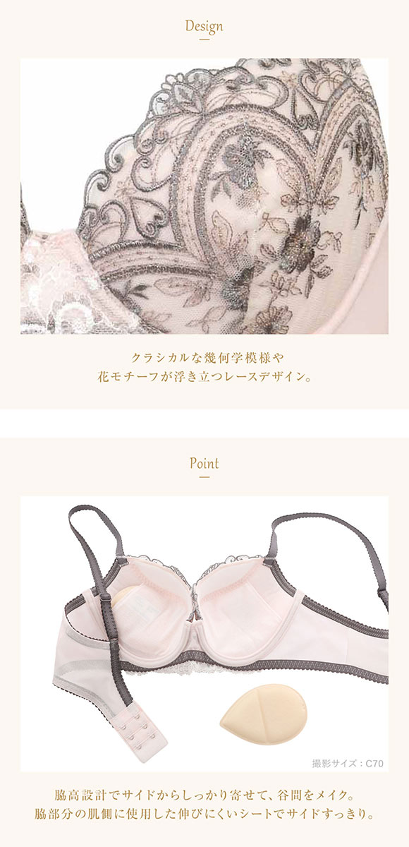 ウイング レシアージュ ブラジャー 3/4カップ DEF サイドすっきり Wing Lesiage 6000G