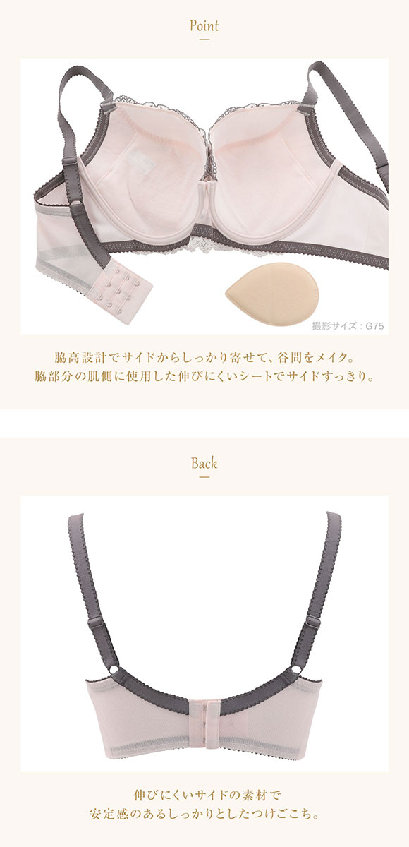 ウイング レシアージュ ブラジャー 3/4カップ G 大きいサイズ サイドすっきり Wing Lesiage 6000G