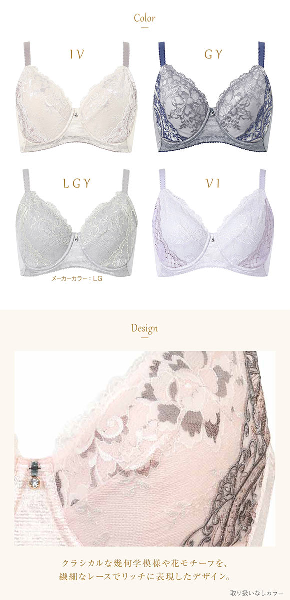 ウイング レシアージュ 小さく見せる フルカップブラジャー DEF Wing Lesiage 6000G