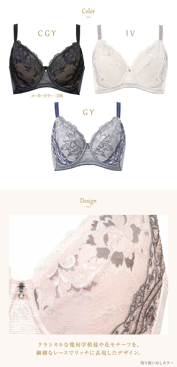 ウイング レシアージュ 小さく見せる フルカップブラジャー G 大きいサイズ Wing Lesiage 6000G