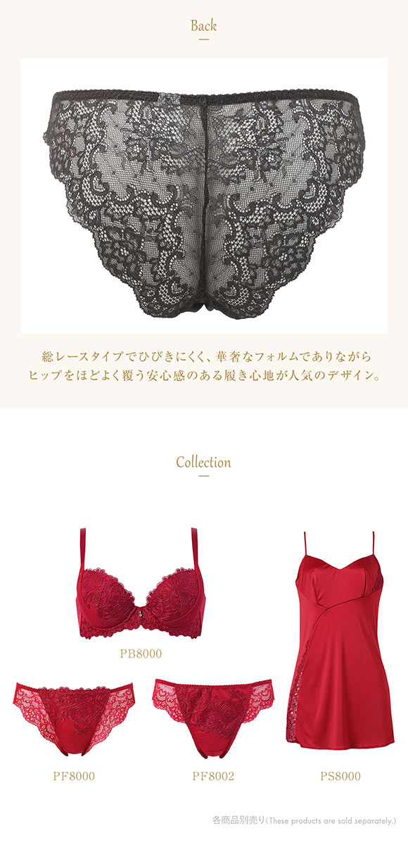 ウイング レシアージュ 8000シリーズ Tバックショーツ 総レース M PF8002 Wing Lesiage