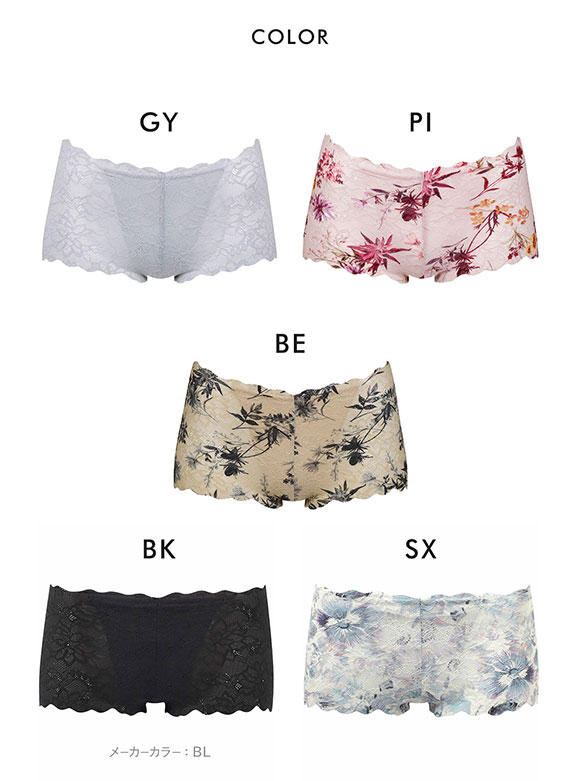 ワコール Wacoal ゴコチ GOCOCi PGG197 CGG297 ノーマルショーツ ビキニ 総レース ML 単品