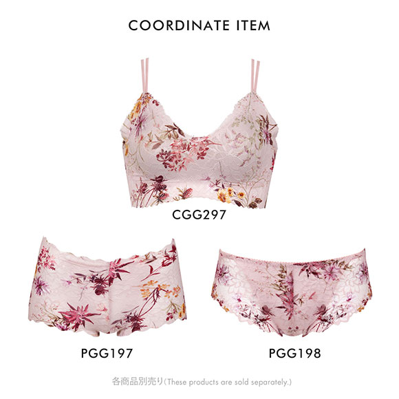 ワコール Wacoal ゴコチ GOCOCi PGG197 CGG297 ノーマルショーツ ビキニ 総レース ML 単品