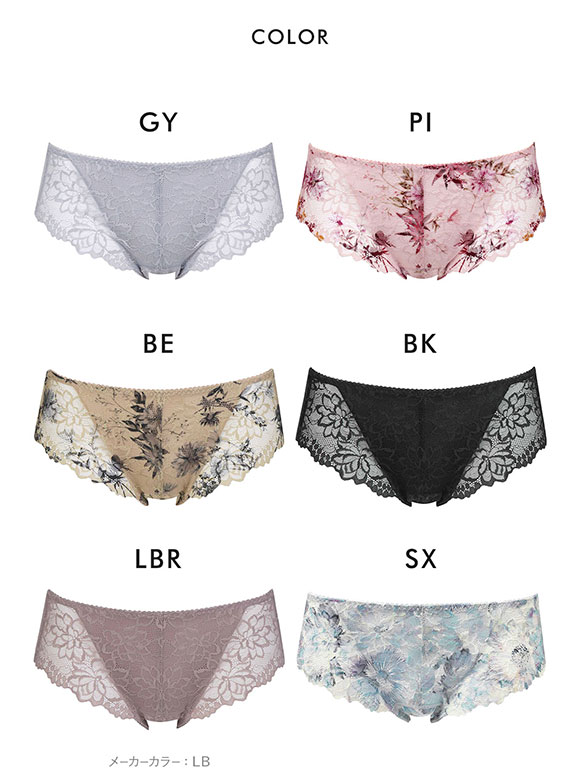 ワコール Wacoal ゴコチ GOCOCi PGG198 CGG297 サニタリーショーツ ノーマル ビキニ ハイカット 総レース ML 単品