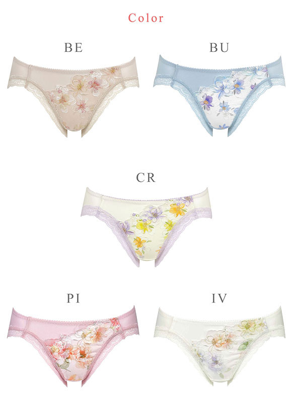 ワコール Wacoal ハグするブラ BRB498 PRA198 ショーツ LL 単品