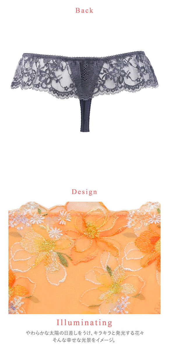 ワコール Wacoal ハグするブラ BRB498 PRA498 ショーツ Tバック M バックレース 単品