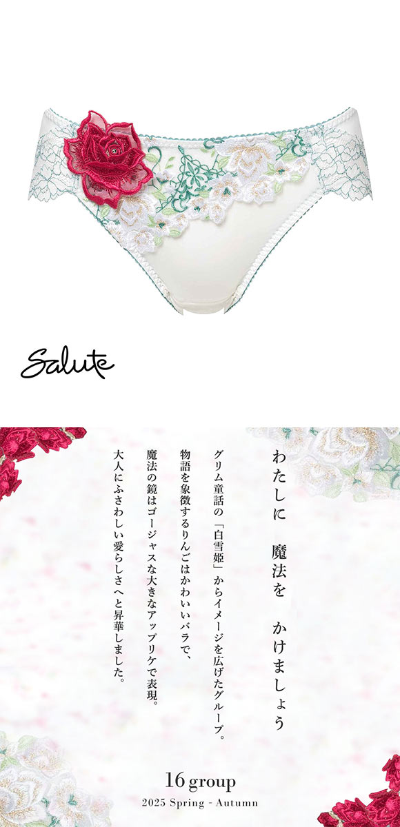 ワコール サルート 16グループ 16G サニタリーショーツ 生理 羽つきナプキン対応 Wacoal Salute PTJ316 25SSシーズン