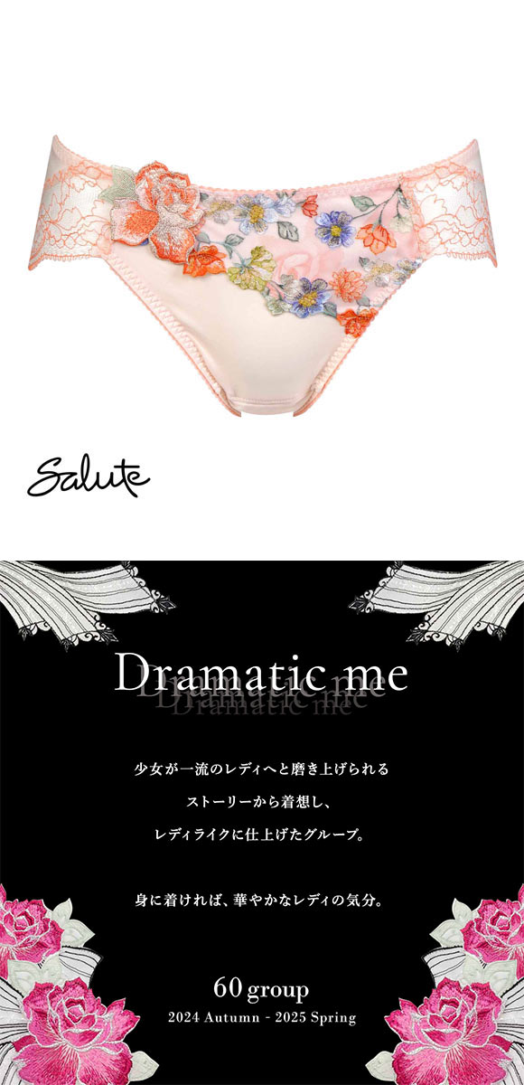 ワコール サルート 60グループ 60G サニタリーショーツ 生理 羽