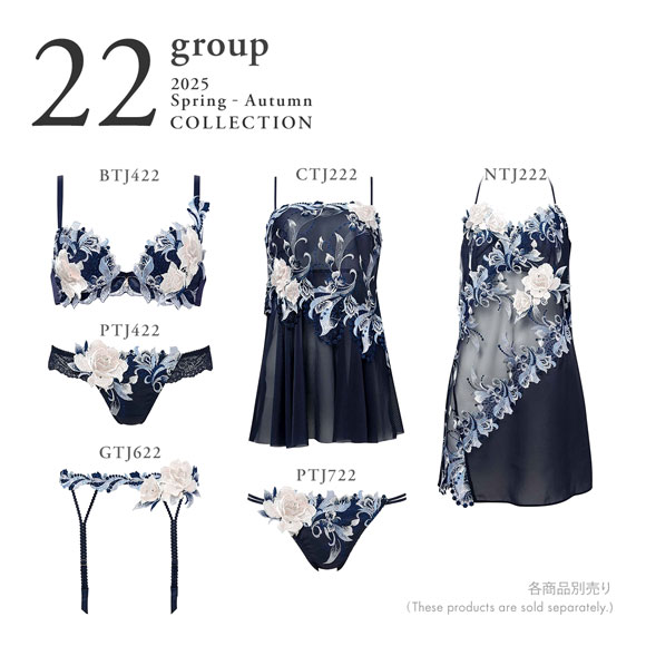 ワコール サルート 22グループ 22G Tバックショーツ ML タンガ ソング バックレース Wacoal Salute PTJ422 25AW先行プレステージ