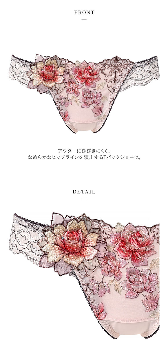 ワコール サルート 23グループ 23G Tバックショーツ ML ソング