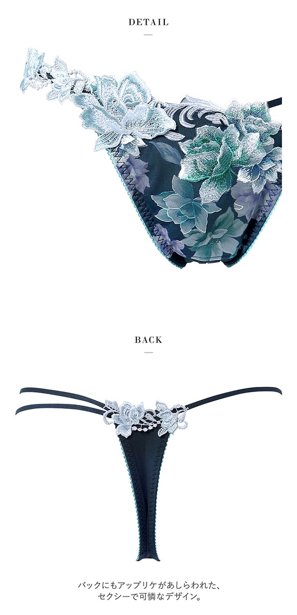 ワコール サルート 26グループ 26G Tバックショーツ ML タンガ ソング Wacoal Salute PTJ426 25AWシーズン