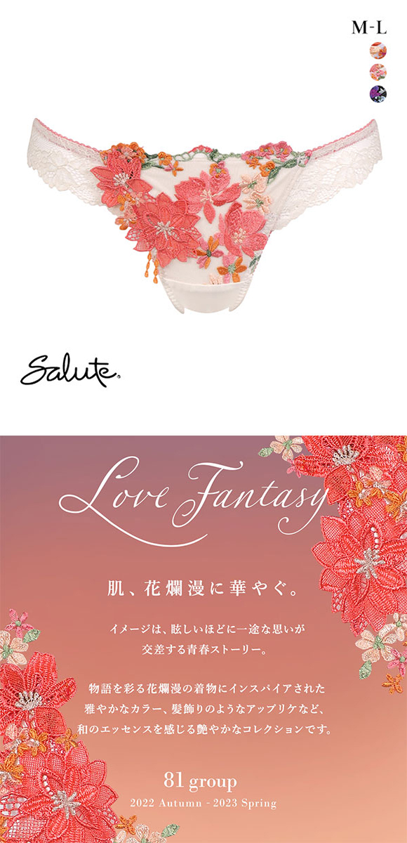 ワコール Wacoal サルート Salute 23SS先行コア 81G BTJ481 BTJ781 Tバックショーツ ML 単品 ソング タンガ