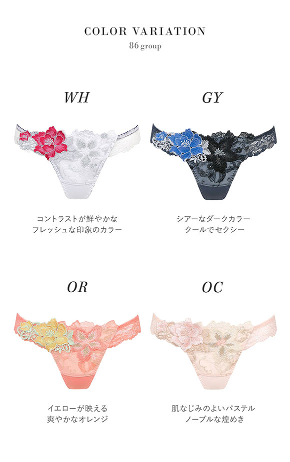 ワコール Wacoal サルート Salute 23SSシーズン 86G BTJ486 BTJ786 Tバックショーツ ML 単品