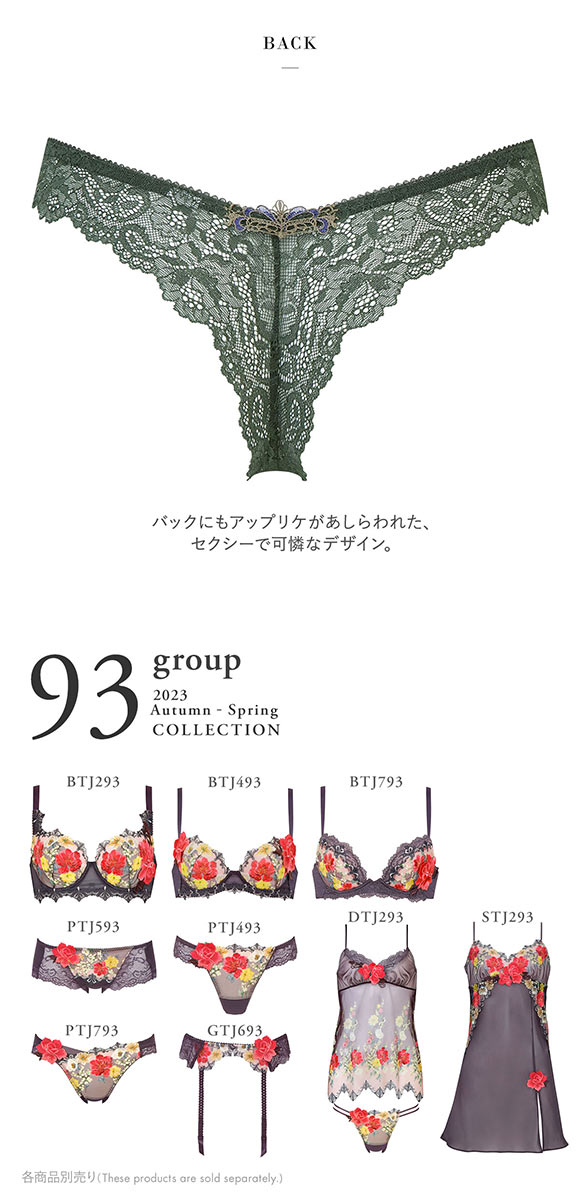 ワコール Wacoal サルート Salute 23AW 93G PTJ493 Tバックショーツ ML 単品 バックレース フェア