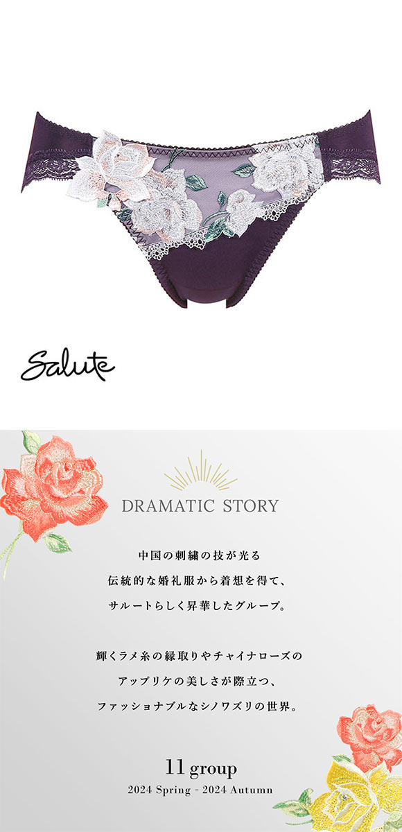 ワコール Wacoal サルート Salute 11G PTJ711 ショーツ スタンダード ML ハイレッグ 単品 24AW先行 コア