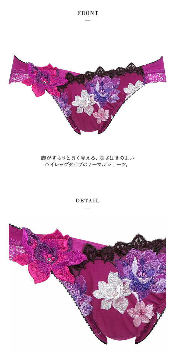 ワコール　サルート　ブラジャー　ショーツ　B70 L ワコール Wacoal サルート Salute 30G ショーツ ML ハイレッグ