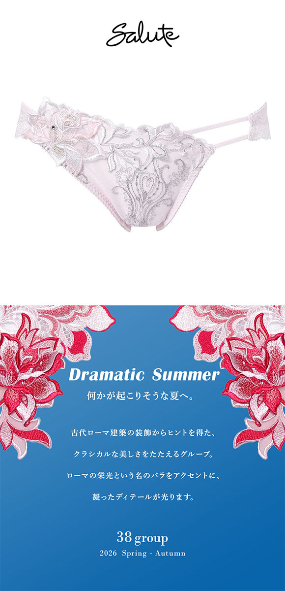 ワコール サルート 38グループ 38G ショーツ スタンダード LL 大きいサイズ ハイレッグ Wacoal Salute PTJ738 26SSブライト