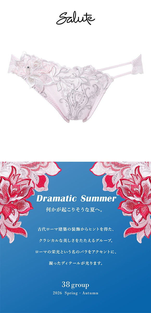 ワコール サルート 38グループ 38G ショーツ スタンダード LL 大きいサイズ ハイレッグ Wacoal Salute PTJ738 26SSブライト