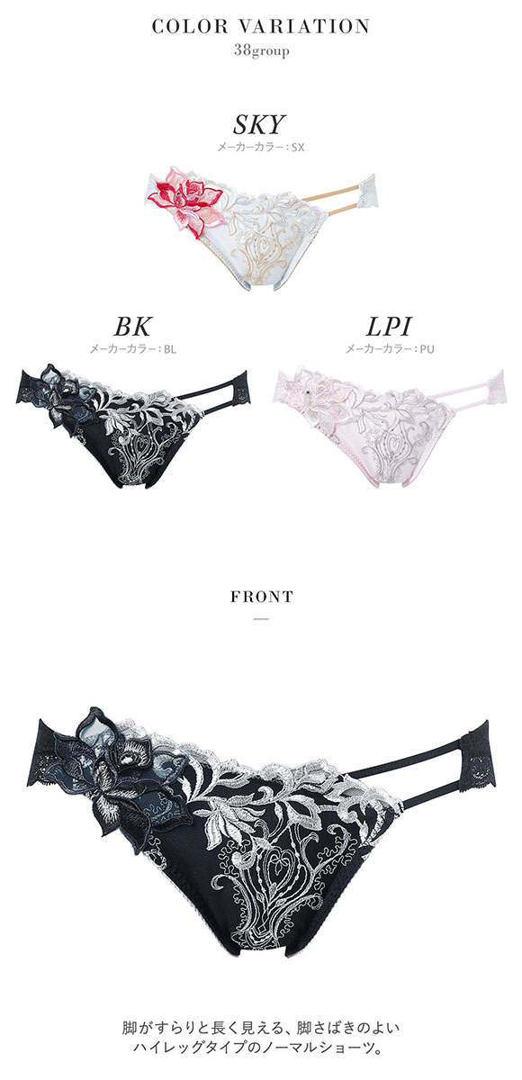 ワコール サルート 38グループ 38G ショーツ スタンダード ML ハイレッグ Wacoal Salute PTJ738 26SSブライト