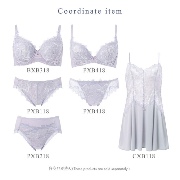 ワコール Wacoal ハグするブラ BXB418 PXB118 ショーツ LL 単品