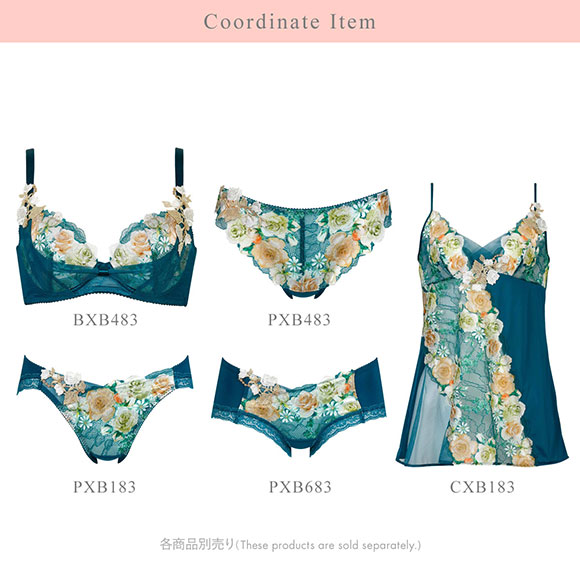 ワコール リボンブラ 脇すっきり ショーツ ローライズ ハイレッグ ML Wacoal BXB483 PXB183