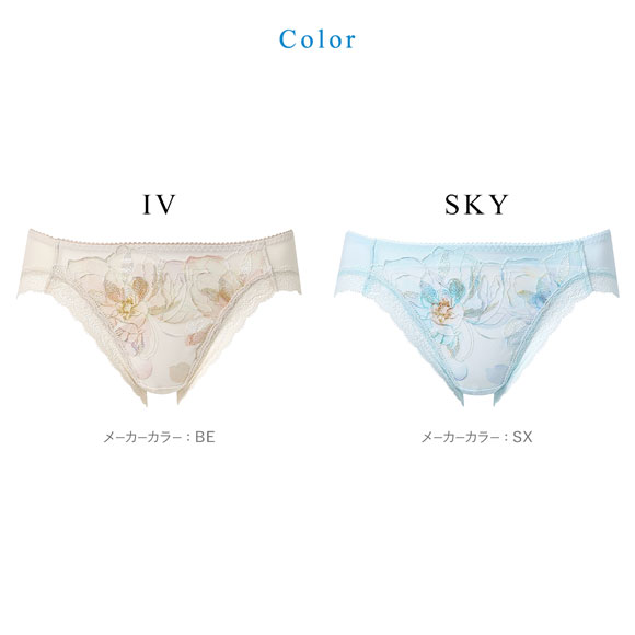 ワコール 夏めくブラ ショーツ LL ローライズ ハイレッグ Wacoal