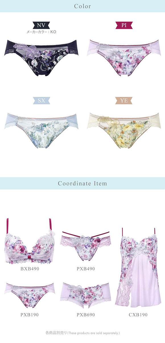 ワコール BXB490 PXB190 リボンブラ 胸もとフィットながもち プレシャス ショーツ ローライズ ハイレッグ ML Wacoal